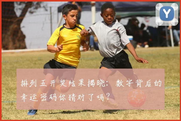 排列五开奖结果揭晓：数字背后的幸运密码你猜对了吗？